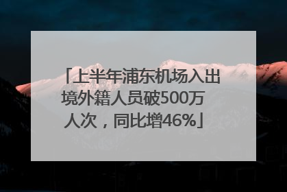 上半年浦东机场入出境外籍人员破500万人次，同比增46%