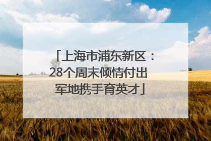 上海市浦东新区：28个周末倾情付出 军地携手育英才