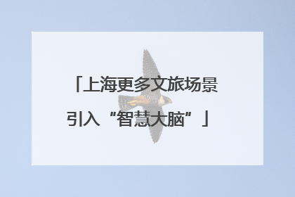 上海更多文旅场景引入“智慧大脑”