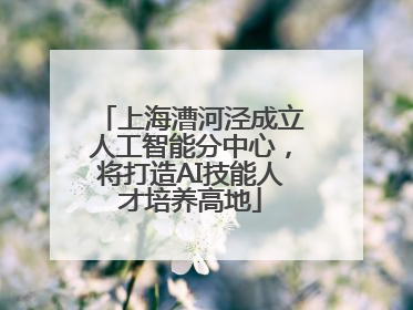 上海漕河泾成立人工智能分中心，将打造AI技能人才培养高地