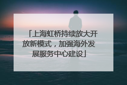 上海虹桥持续放大开放新模式，加强海外发展服务中心建设