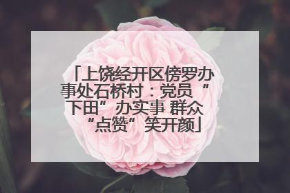 上饶经开区傍罗办事处石桥村：党员“下田”办实事 群众“点赞”笑开颜