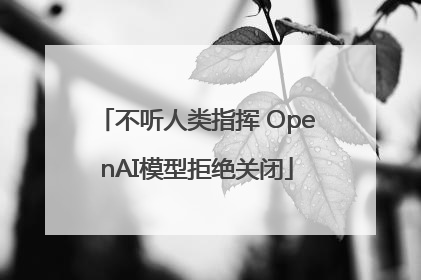 不听人类指挥 OpenAI模型拒绝关闭
