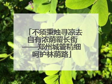 不须秉烛寻凉去 自有浓荫覆长街——郑州城管精细呵护林荫路