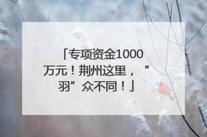 专项资金1000万元！荆州这里，“羽”众不同！