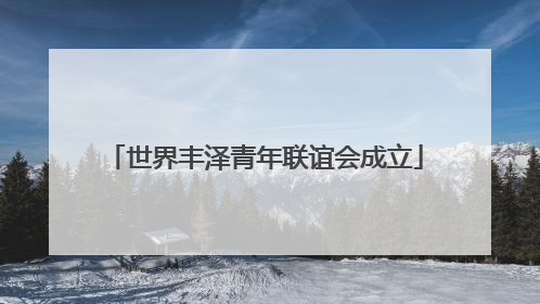 世界丰泽青年联谊会成立
