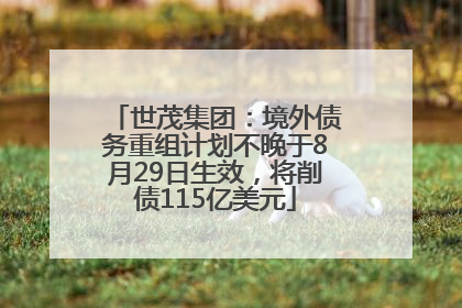 世茂集团：境外债务重组计划不晚于8月29日生效，将削债115亿美元
