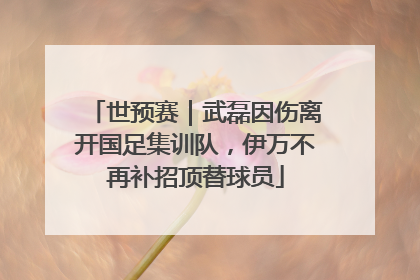 世预赛｜武磊因伤离开国足集训队，伊万不再补招顶替球员