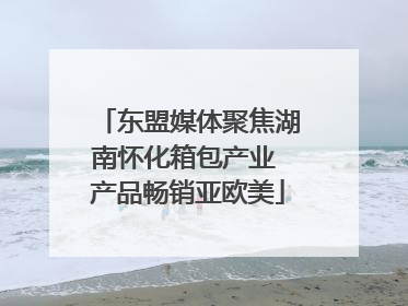 东盟媒体聚焦湖南怀化箱包产业 产品畅销亚欧美
