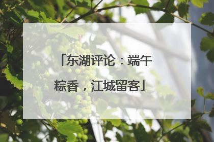 东湖评论：端午粽香，江城留客