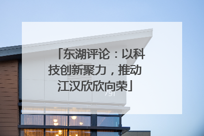东湖评论：以科技创新聚力，推动江汉欣欣向荣