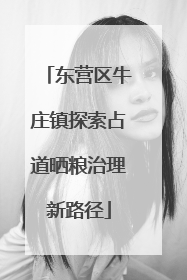 东营区牛庄镇探索占道晒粮治理新路径