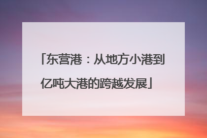 东营港：从地方小港到亿吨大港的跨越发展