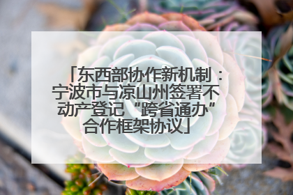 东西部协作新机制：宁波市与凉山州签署不动产登记“跨省通办”合作框架协议