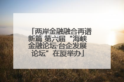两岸金融融合再谱新篇 第六届“海峡金融论坛·台企发展论坛”在厦举办