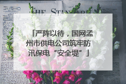 严阵以待，国网孟州市供电公司筑牢防汛保电“安全堤”