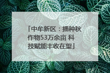 中牟新区：播种秋作物53万余亩 科技赋能丰收在望