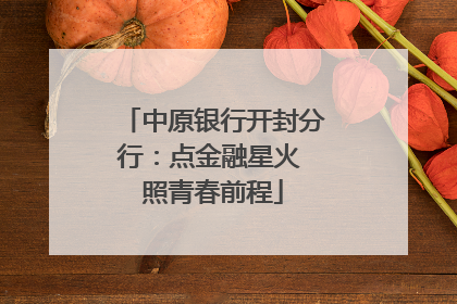 中原银行开封分行：点金融星火 照青春前程
