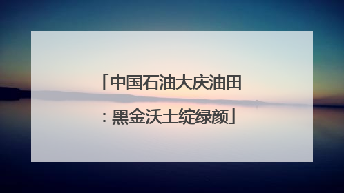 中国石油大庆油田：黑金沃土绽绿颜
