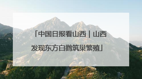 中国日报看山西｜山西发现东方白鹳筑巢繁殖