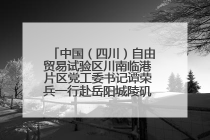 中国(四川)自由贸易试验区川南临港片区党工委书记谭荣兵一行赴岳阳城陵矶综保区考察