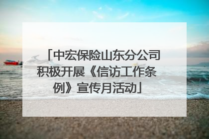 中宏保险山东分公司积极开展《信访工作条例》宣传月活动