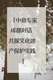 中意专家成都对话 共探文化遗产保护实践