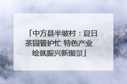 中方县半坡村：夏日茶园管护忙 特色产业绘就振兴新图景