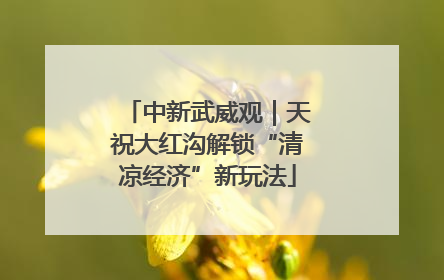 中新武威观｜天祝大红沟解锁“清凉经济”新玩法