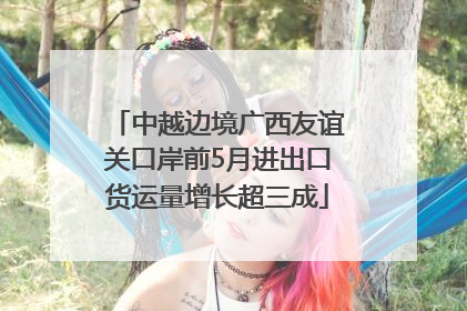 中越边境广西友谊关口岸前5月进出口货运量增长超三成