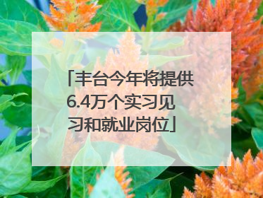 丰台今年将提供6.4万个实习见习和就业岗位