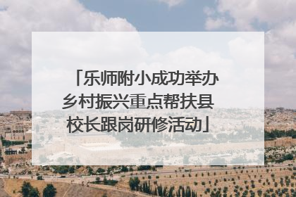 乐师附小成功举办乡村振兴重点帮扶县校长跟岗研修活动