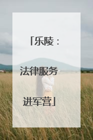 乐陵：法律服务进军营