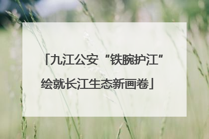 九江公安“铁腕护江”绘就长江生态新画卷