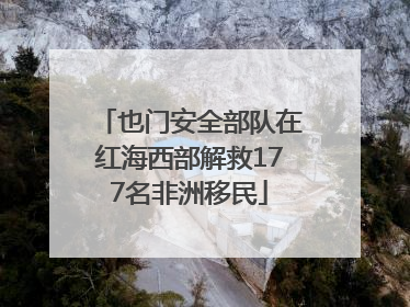 也门安全部队在红海西部解救177名非洲移民