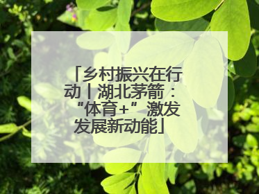 乡村振兴在行动丨湖北茅箭：“体育+”激发发展新动能