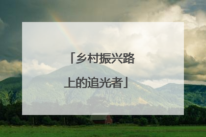 乡村振兴路上的追光者