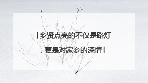 乡贤点亮的不仅是路灯，更是对家乡的深情