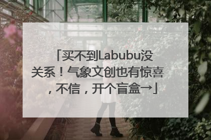 买不到Labubu没关系！气象文创也有惊喜，不信，开个盲盒→