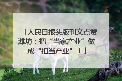 人民日报头版刊文点赞潍坊：把“当家产业”做成“担当产业”！