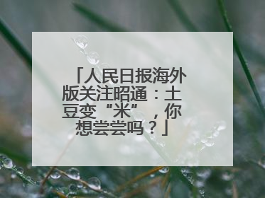 人民日报海外版关注昭通：土豆变“米”，你想尝尝吗？