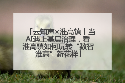 云知声×淮高镇丨当AI遇上基层治理，看淮高镇如何玩转“数智淮高”新花样