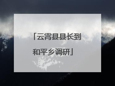 云霄县县长到和平乡调研