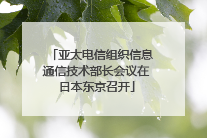 亚太电信组织信息通信技术部长会议在日本东京召开