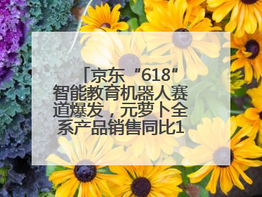京东“618”智能教育机器人赛道爆发，元萝卜全系产品销售同比171%成黑马