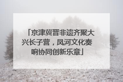 京津冀晋非遗齐聚大兴长子营，凤河文化奏响协同创新乐章