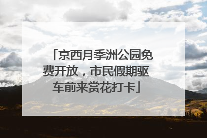 京西月季洲公园免费开放，市民假期驱车前来赏花打卡
