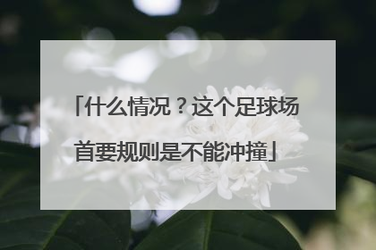 什么情况？这个足球场首要规则是不能冲撞