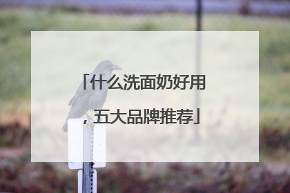什么洗面奶好用，五大品牌推荐