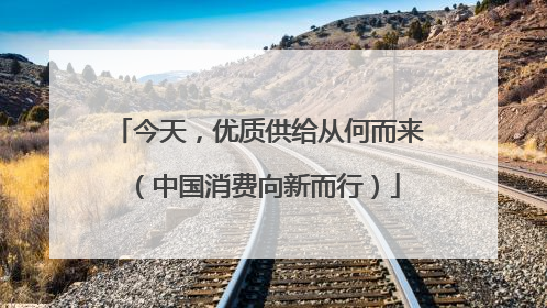 今天，优质供给从何而来（中国消费向新而行）